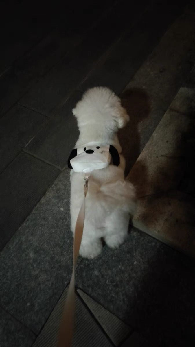 ペットの外出はかわいいですリュックサックの小型カバンは熊のテディの牽引紐の子犬の猫より可愛いです