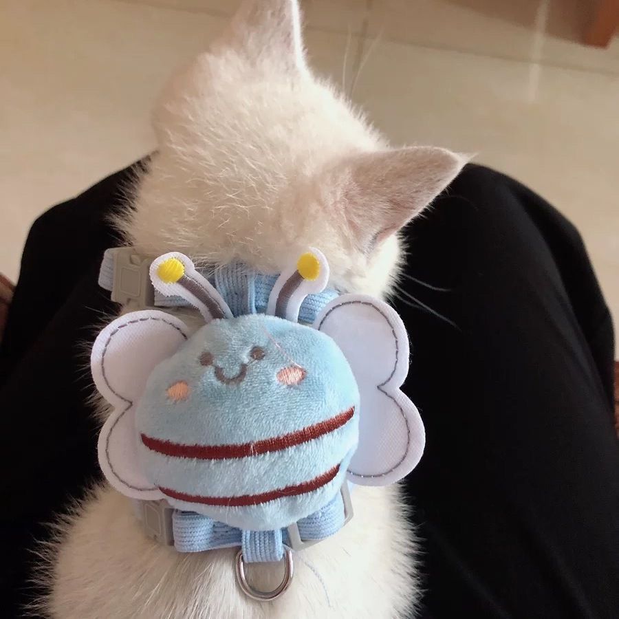 猫の牽引紐が抜けないようにします犬の牽引紐を散歩します
