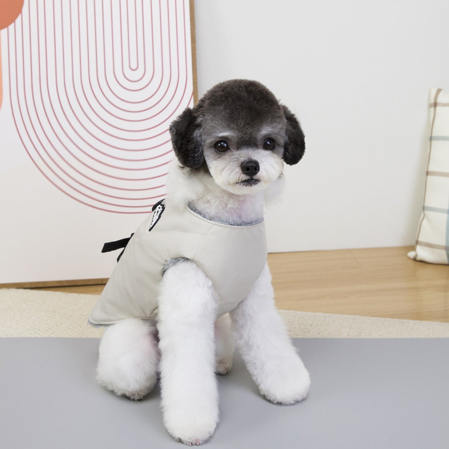 猫 犬 洋服 犬服 ペット服 大中小型犬 ペット用品 犬/猫用 犬の服 ペットウエア 小型犬 中型犬 通気 可愛い ドッグウェア トレーナー 犬 服 ワンピース サロペット ビションフリーゼ 犬猫服