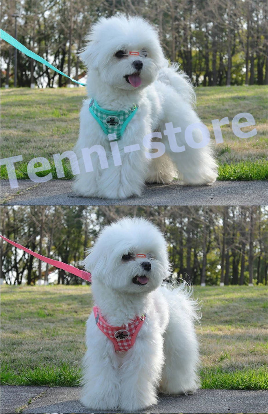 今週の新製品 タイムセール アウトレット 犬 猫 ハーネス 小型犬 中型犬 猫用 ネコ ウェアハーネス ハーネス&リードセット 犬ハーネス 抜けない 一体型 かわいい 簡単着脱 在庫が限られている在庫