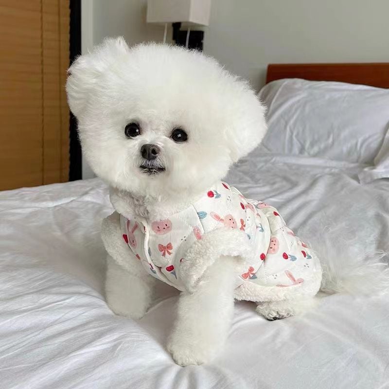 春と秋の犬服テディボーミペットのコキシナレビーベア秋 厚手 暖かい