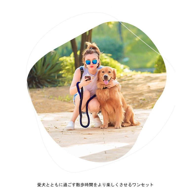 送 料 無 料!犬用 首輪 リード 2点セット 牽引ロープ ペット用品 大型犬 中型犬 牽引縄 セットアップ お洒落 ドッグウェア ハーネス 切り替え