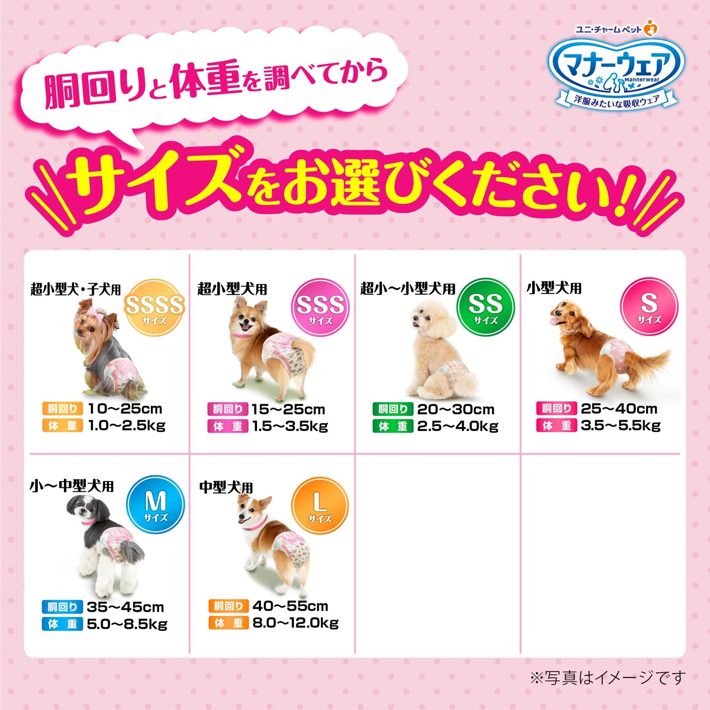 <a href="https://www.qoo10.jp/gmkt.inc/Search/brand.aspx?brandno=124379" target="_blank" class="title_brand" id="btn_brand" title="マナーウェア">マナーウェア</a>マナーウェア 女の子用 SSSSサイズ ピンクリボン・青リボン 42枚入×2個セット 犬 SSSS