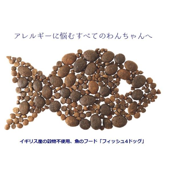 FISH 4 DOGSフィッシュ4ドッグ サーモンオイル 360ml 真空ポンプ グッドスマイルインターナショナル ドッグフード 犬 餌 ふりかけ