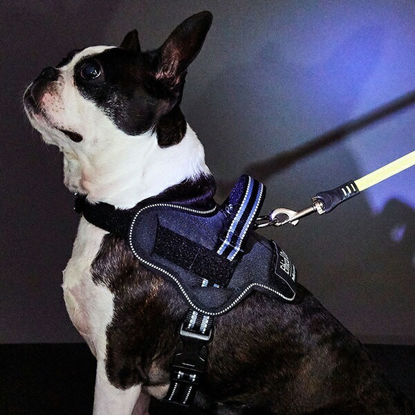 ペティオ 犬用胴輪 EthicalDoor エシカルドア イージーウェアハーネス S ブラック 小型犬用 犬具 胴輪 繊維 Petio W56091