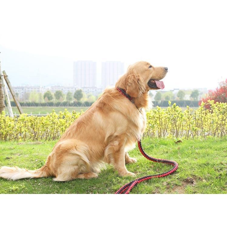 首輪 リード 2点セット 犬用 ペット用 ハーフチョーク リーシュ チェーン 牽引綱 シンプル お散歩 お出掛け ペット用品 ペットグッズ 犬 わんこ