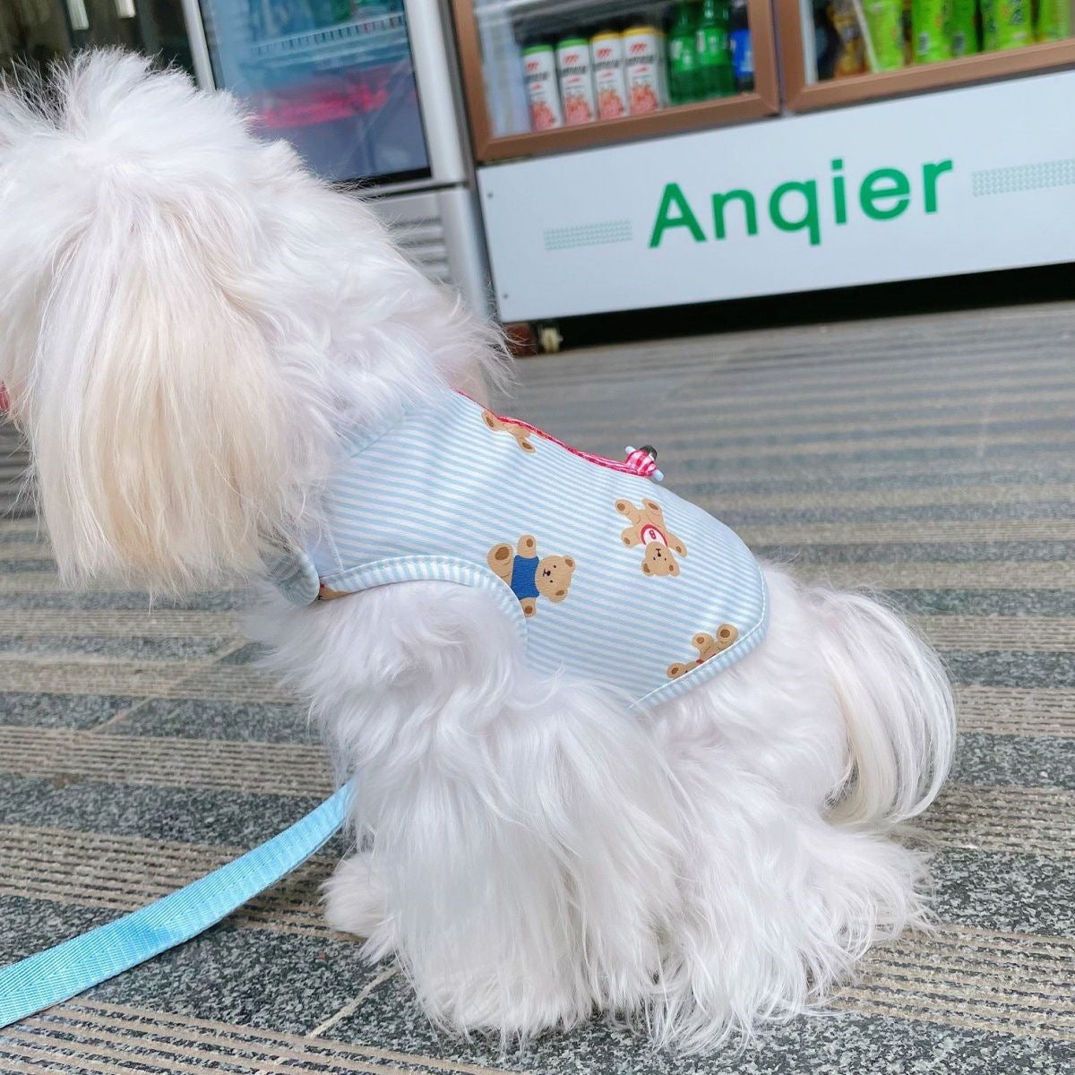 韓国の純綿のかわいいストライプの熊の胸のペットの牽引縄は犬のテディの熊のセットを散歩します メガ割ワンピースパンツトートバッグ