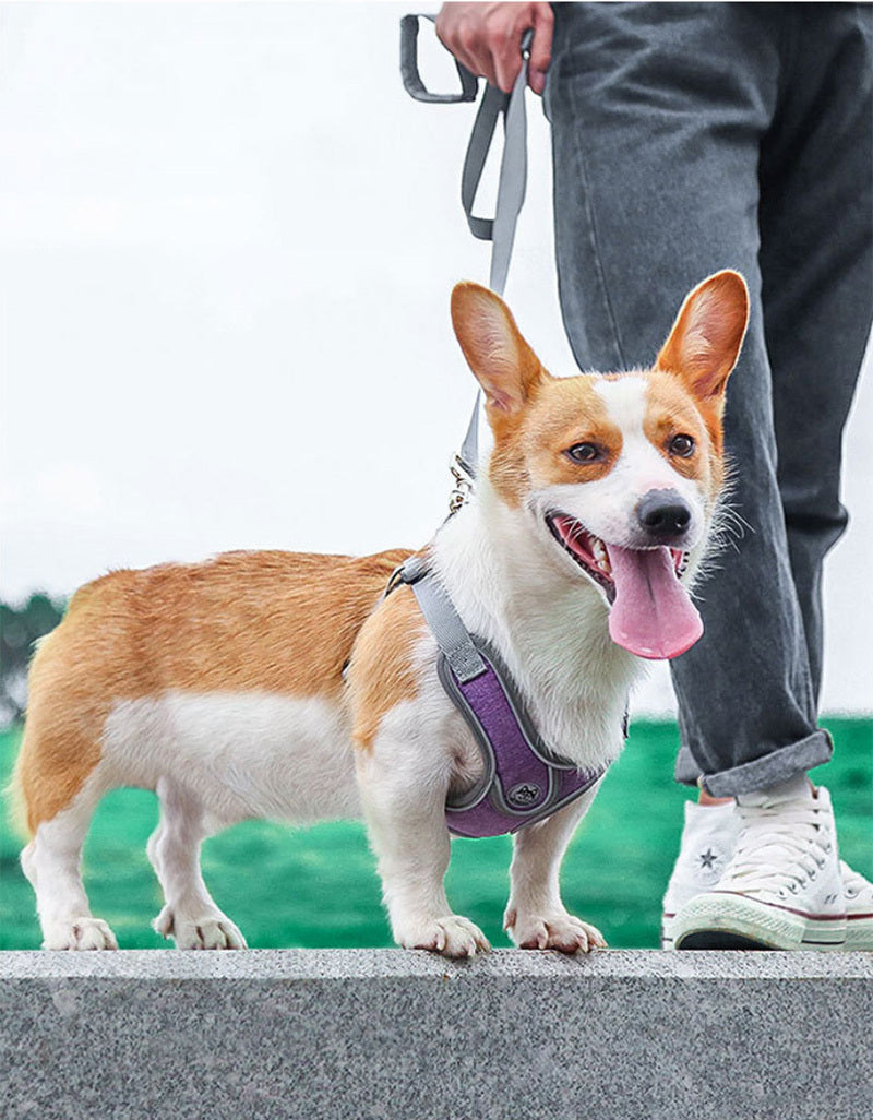 丈夫 ハーネス 大型犬 ハーネスリードセット犬用 小型犬 リフレクター付き 通気性 頑丈 2点 かっこいい 反射素材 犬 負担軽減 サイズ調整 衝撃緩和 中型犬