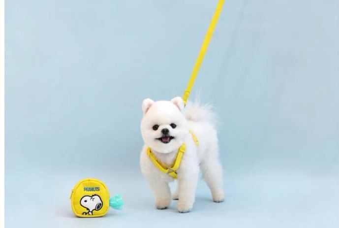 犬の牽引紐夏の涼しいタイプのかわいいスヌーピー胸のベルトは犬のリュックサックを散歩します