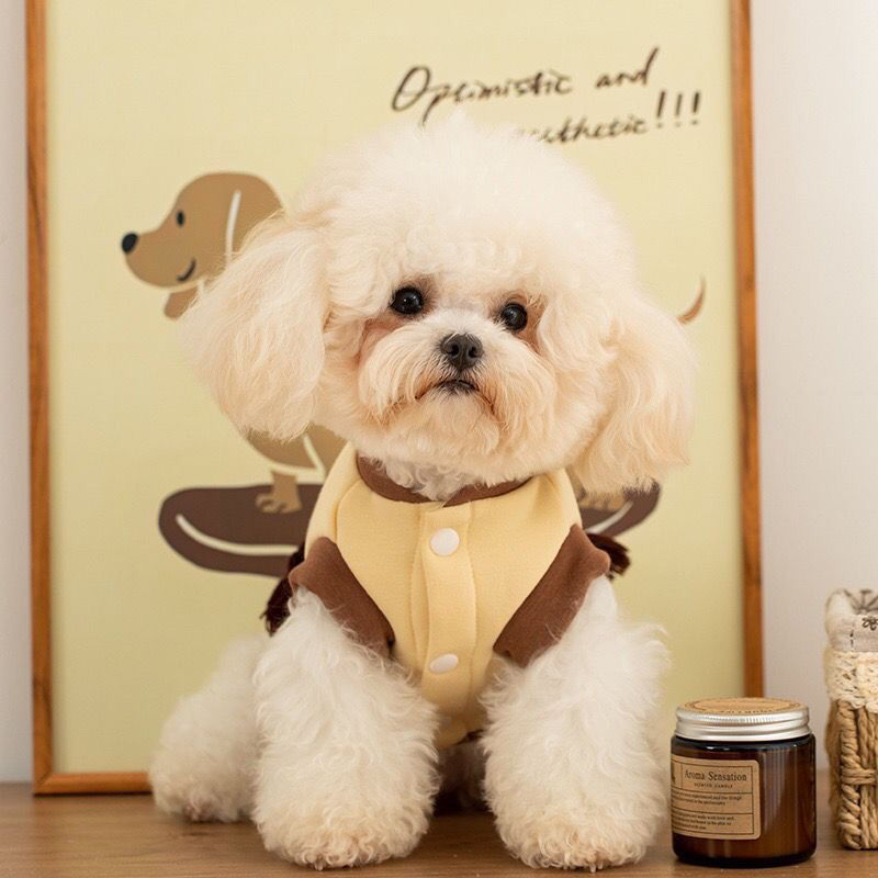 ペット服猫犬服小型犬服ペット秋冬モデルテディビネンチェネリー小型犬変身パンダボングアン両足フリースジャケット犬 服 犬 犬の服 犬 洋服 犬の服夏 犬洋服