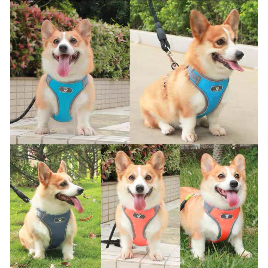 柴犬 ステップハーネス ネコポス ロック 抜けない ハンドル付き 犬 送料無料 中型犬 小型犬 犬用 ハーネス ウェアハーネス 抜けにくい 介護用 首輪 負担の少ない