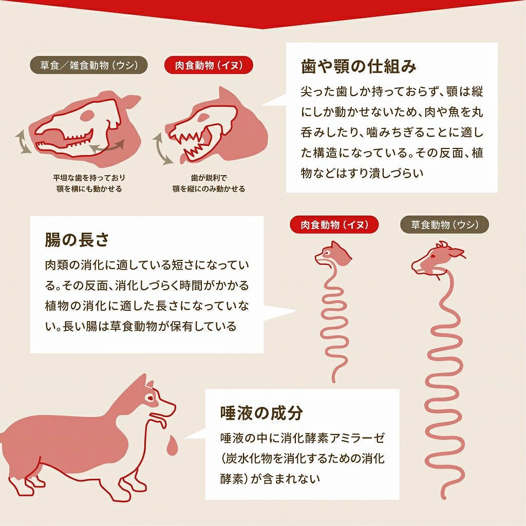 <a href="https://www.qoo10.jp/gmkt.inc/Search/brand.aspx?brandno=123886" target="_blank" class="title_brand" id="btn_brand" title="ACANA(PET)">ACANA(PET)</a>【アウトレット 賞味期限印字不良】アカナ ライト&フィットレシピ 2kg【ドッグフード】【正規品】