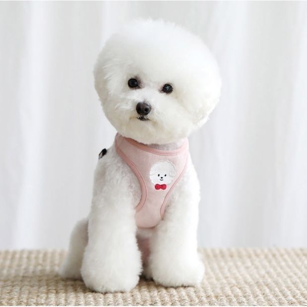 韓国版の中で小型の犬のテディは熊のコーキに比べて外出して犬を散歩します メガ割ワンピースパンツトートバッグ