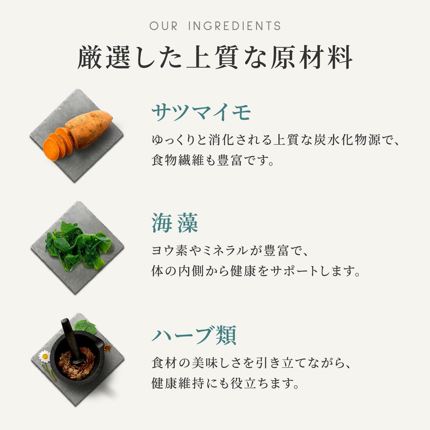 ドッグフード チキン (2kg) ドライフード 全犬種・全年齢 対応 【着色料・香料不使用 グレインフリー】