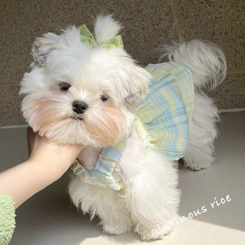 ペット子犬猫二重格子ガーターテディベア博米中小型子犬春秋薄型夏