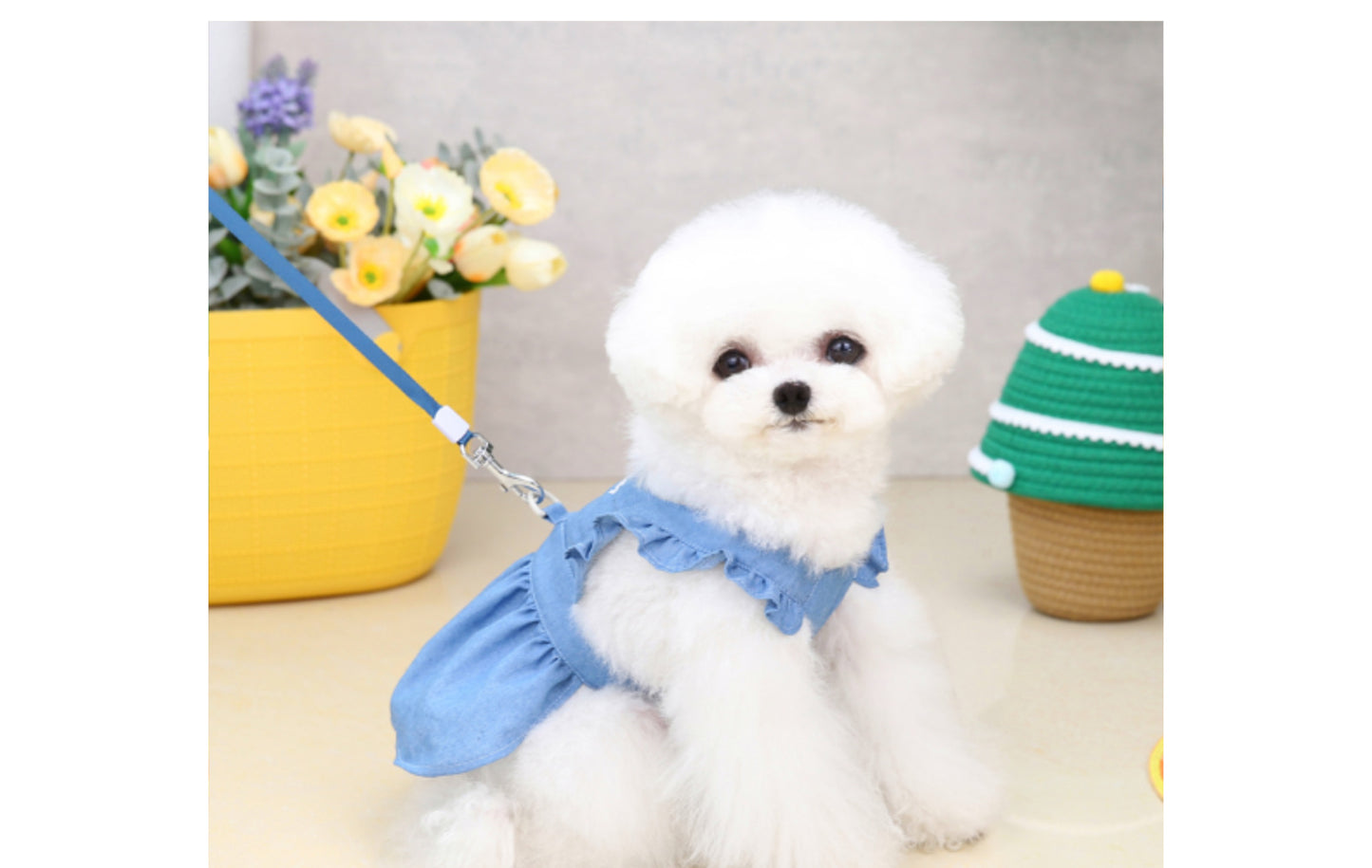 猫 犬 洋服 犬服 ペット服 大中小型犬 ペット用品 犬/猫用 犬の服 ペットウエア 小型犬 中型犬 通気 可愛い ドッグウェア トレーナー 犬 服 ワンピース サロペット ビションフリーゼ 犬猫服