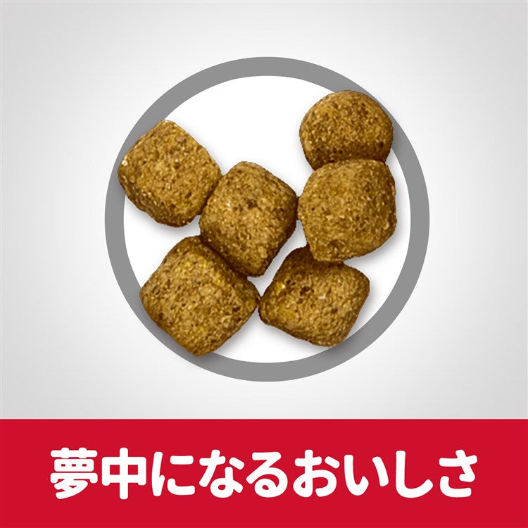 ドッグフード 犬 ヒルズ サイエンスダイエット シニア ライト 小粒 肥満傾向の高齢犬用 6.5kg ドライ 7歳以上用 犬 ヒルズ シニア ダイエット スモール粒 ペットフード メガ割