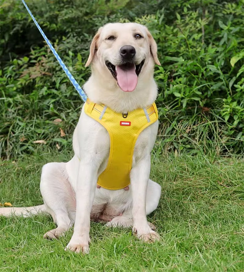 犬ハーネス 犬用 ハーネス 犬用胴輪 反射材料付き 装着簡単 喉にやさしい 小型犬 大型犬 散歩/訓練/お出掛 ペット はーねす 安全 抜けない 軽量 調節可能