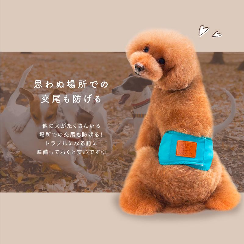オシッコ失敗 犬用マナーベルト マーキング防止 しつけ 犬用オムツカバー おしっこ失敗 犬用おむつカバートイレ シンプル 犬用マナーバンド