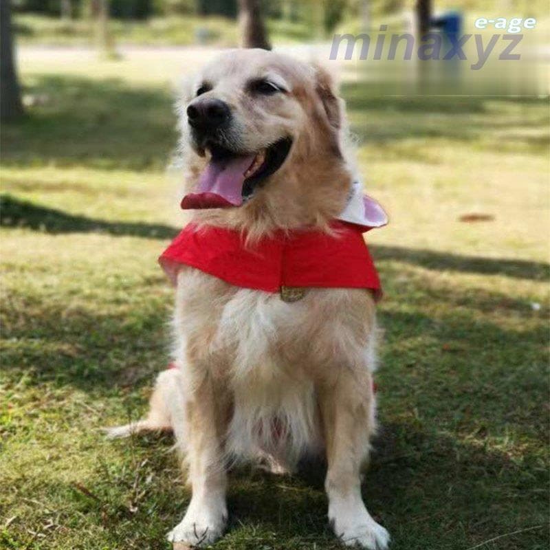 ドッグウェア レインコート カッパ 犬の服 雨具 パーカー フード 反射テープ 大型犬 中型犬 ブルー レッド イー ペット用品 お出掛け 雨の日