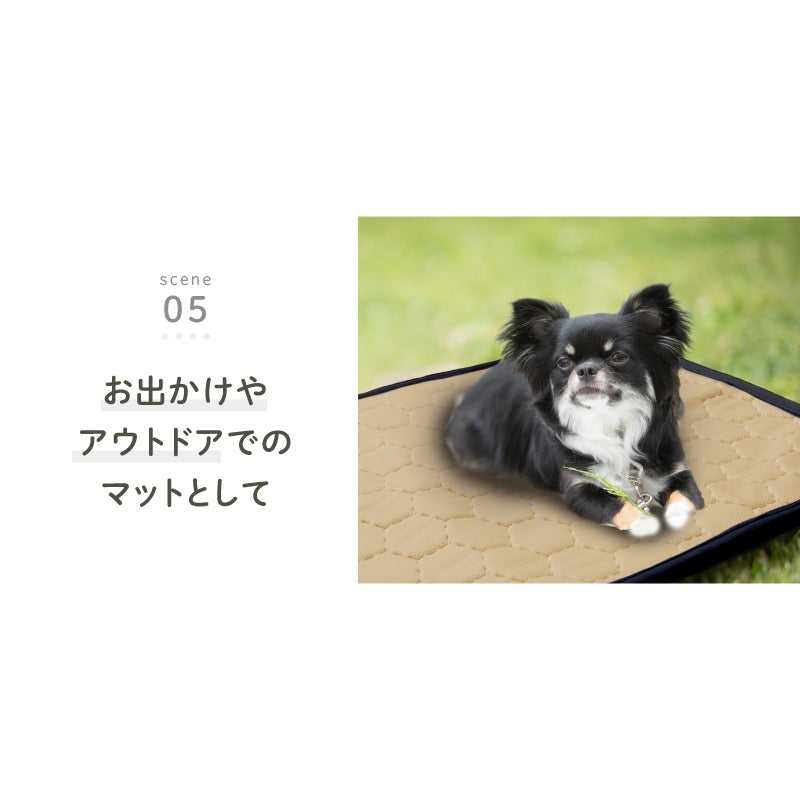 <a href="https://www.qoo10.jp/gmkt.inc/Search/brand.aspx?brandno=117010" target="_blank" class="title_brand" id="btn_brand" title="LASIEM">LASIEM</a>【発送3日以内】洗える ペットシーツ 2枚セット 犬 猫 犬用 ペットマット トイレシート おしっこシート 介護 ペットマット 食事マット 防水 おしっこパッド マット 滑り止め 介護シーツ 漏れ防止