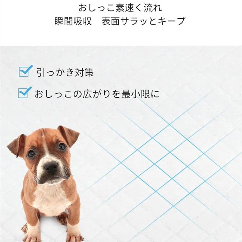 <a href="https://www.qoo10.jp/gmkt.inc/Search/brand.aspx?brandno=109151" target="_blank" class="title_brand" id="btn_brand" title="Honeycare">Honeycare</a>ペットシーツ 薄型 ペットシート 犬猫 サイズ選択可 レギュラー800枚 ワイド400枚 スーパーワイド200枚