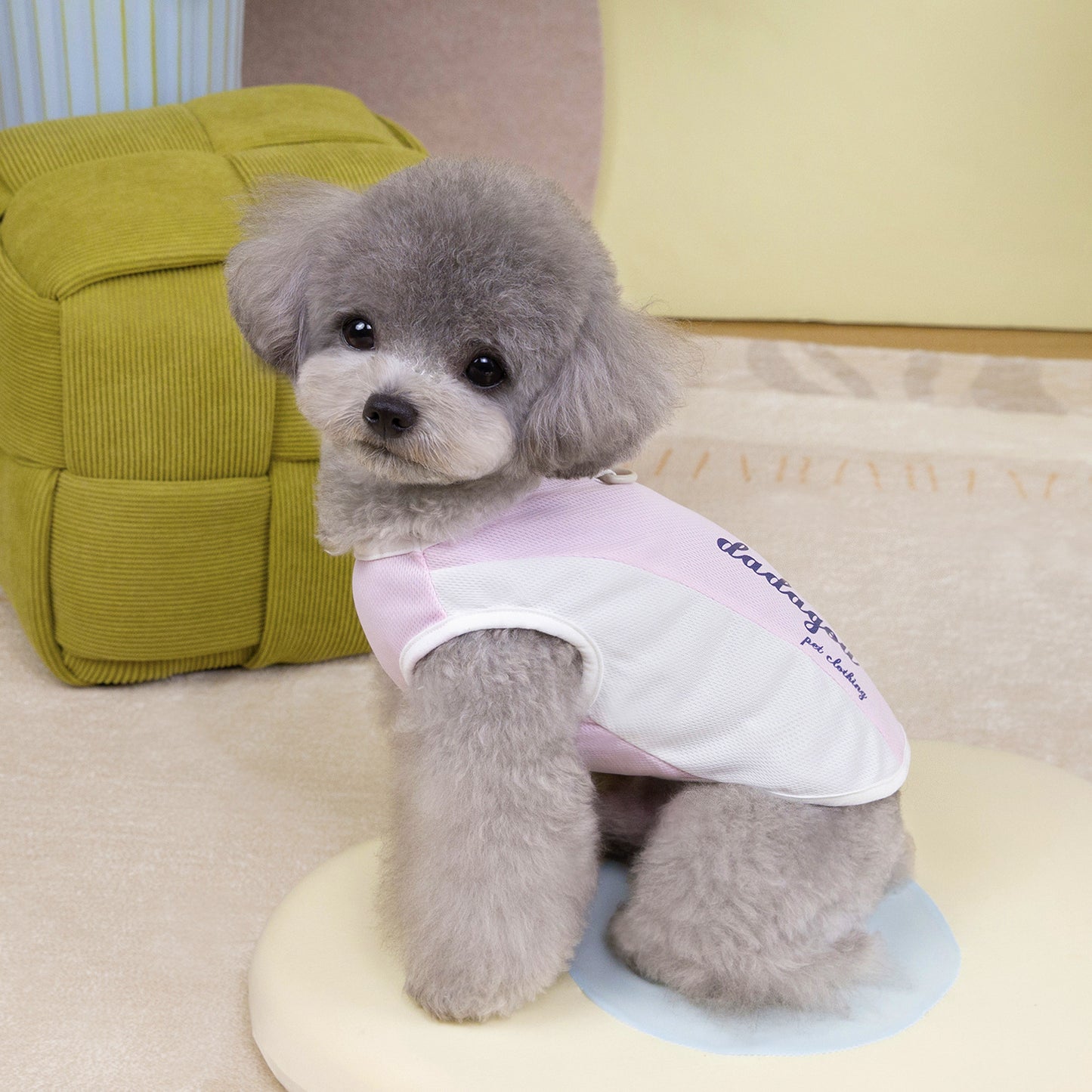 猫 犬 洋服 犬服 ペット服 大中小型犬 ペット用品 犬/猫用 犬の服 ペットウエア 小型犬 中型犬 通気 可愛い ドッグウェア トレーナー 犬 服 ワンピース サロペット ビションフリーゼ 犬猫服