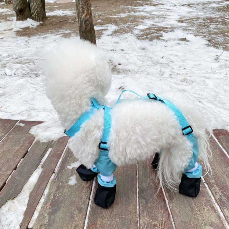 特売セール滑り止め 犬用ブーツ 犬用レッグカバー 肉球保護 四本足パンツ 犬用シューズ サスペンダー付き レッグカバー 脱げない 犬服 レインパンツ レインシューズ サスペンダー付き犬用パンツ 屋外