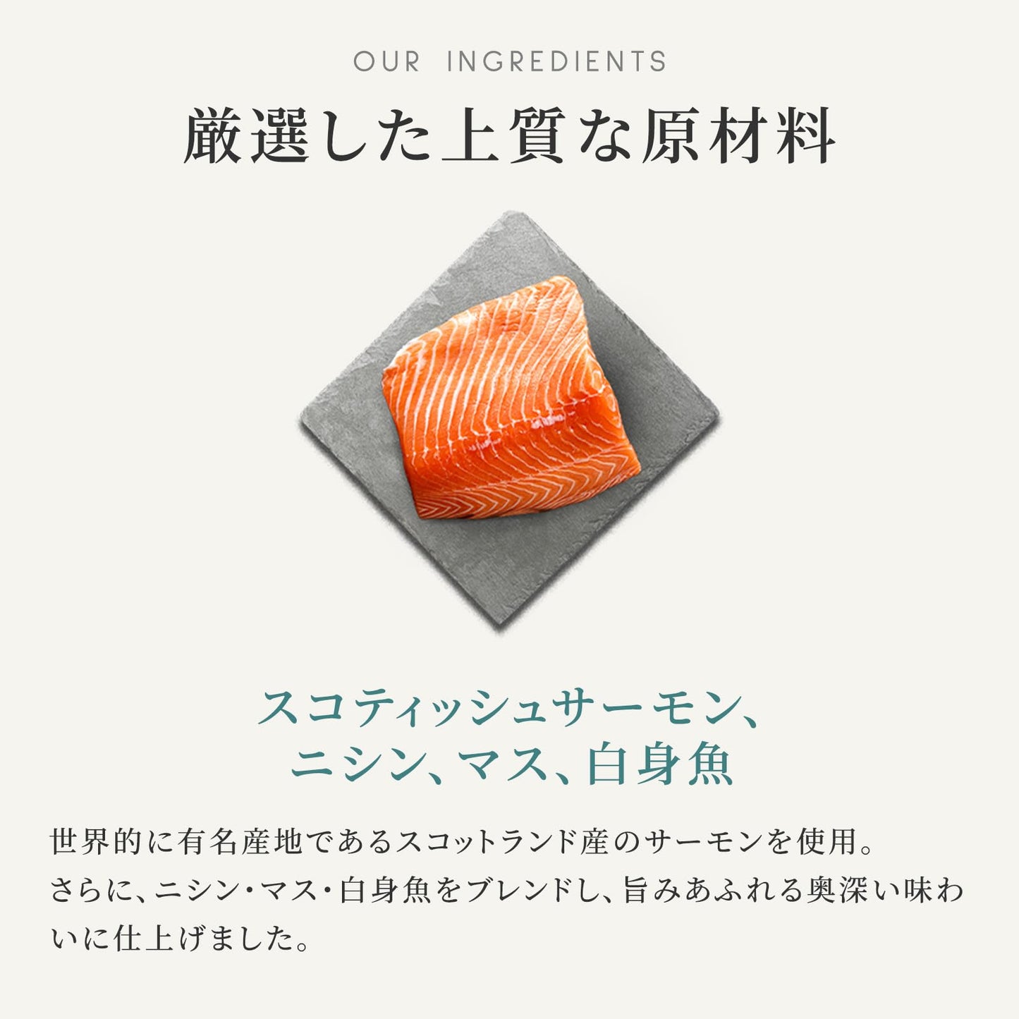 ドッグフード チキン (2kg) ドライフード 全犬種・全年齢 対応 【着色料・香料不使用 グレインフリー】