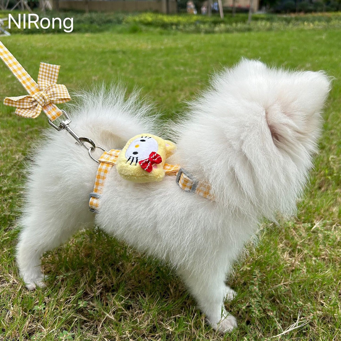 メガ割犬牽引ロープベスト式アニメ屋外散歩犬牽引ロープ小型中型犬犬チェーン犬ロープテディ博美973
