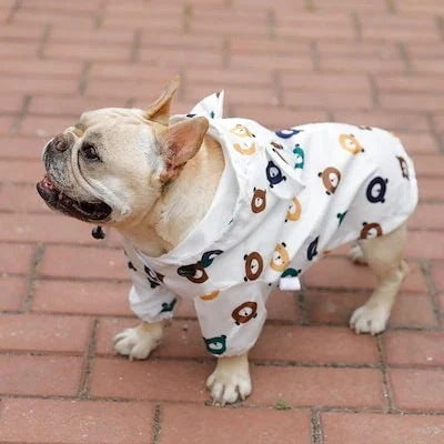 フレンチバケットレインコート子犬防水クマの服犬のとの薄いセクションの小型犬の子犬の傘