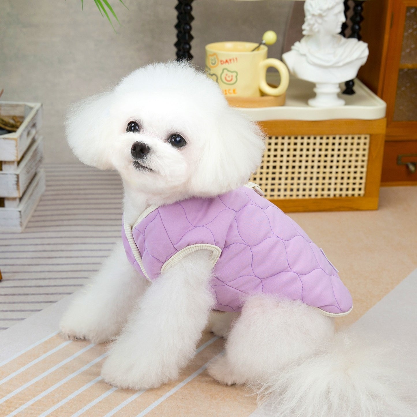 人気犬の服ペットの服小型犬猫も着れる秋冬あったか快適ピーチコットンコート