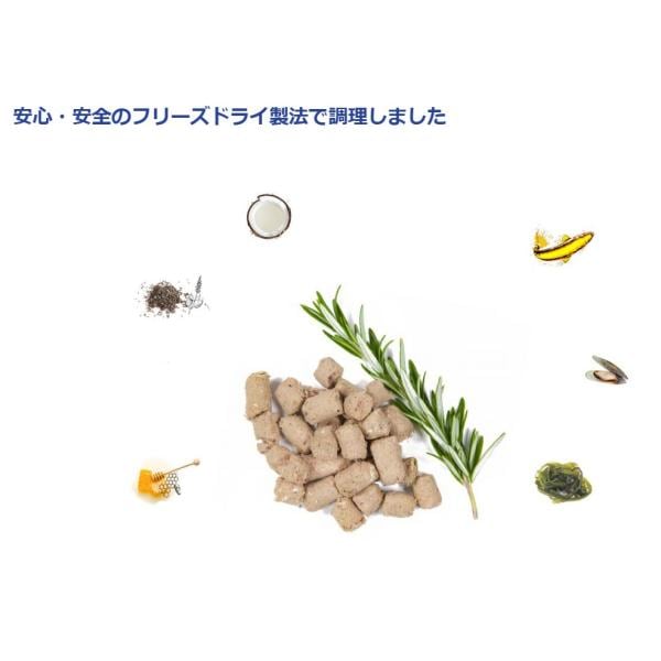 WOOF ワフ フリーズドライ グリーンリップドマッスル 50g ドッグフード 犬 餌 トリーツ おやつ 動物性原料 90%以上