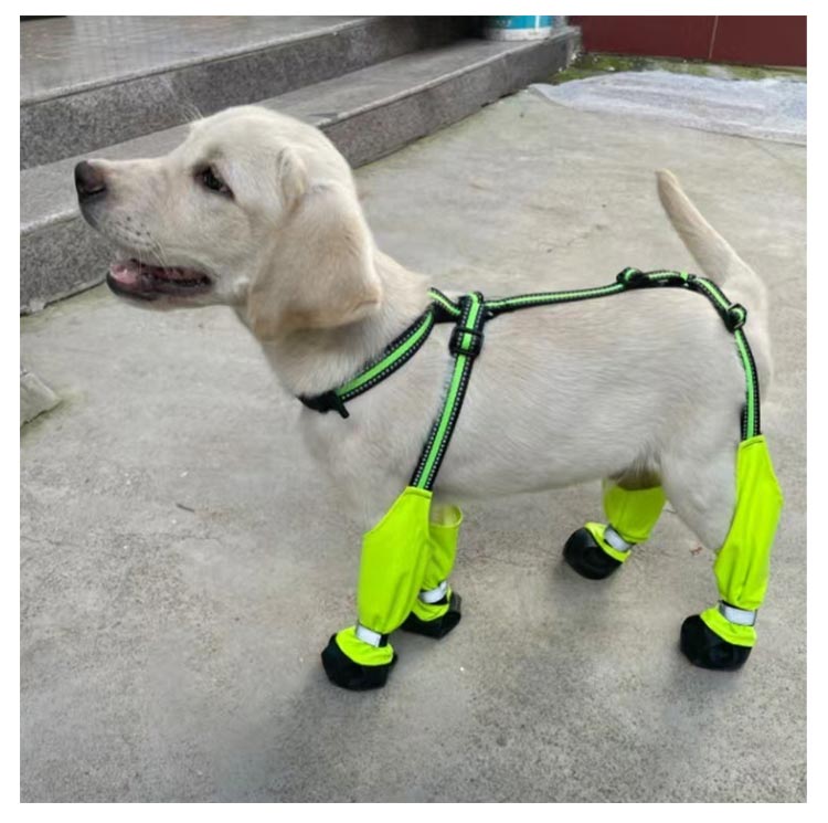 新製品が出回る サスペンダー付き 屋外四本足パンツ スペンダー付き犬用パンツ 調節可能 脱げない 犬用レッグカバー 脱げない 犬用ブーツ 犬服 レインパンツ 犬用レッグカバー 肉球保護 汚れ防止 梅雨