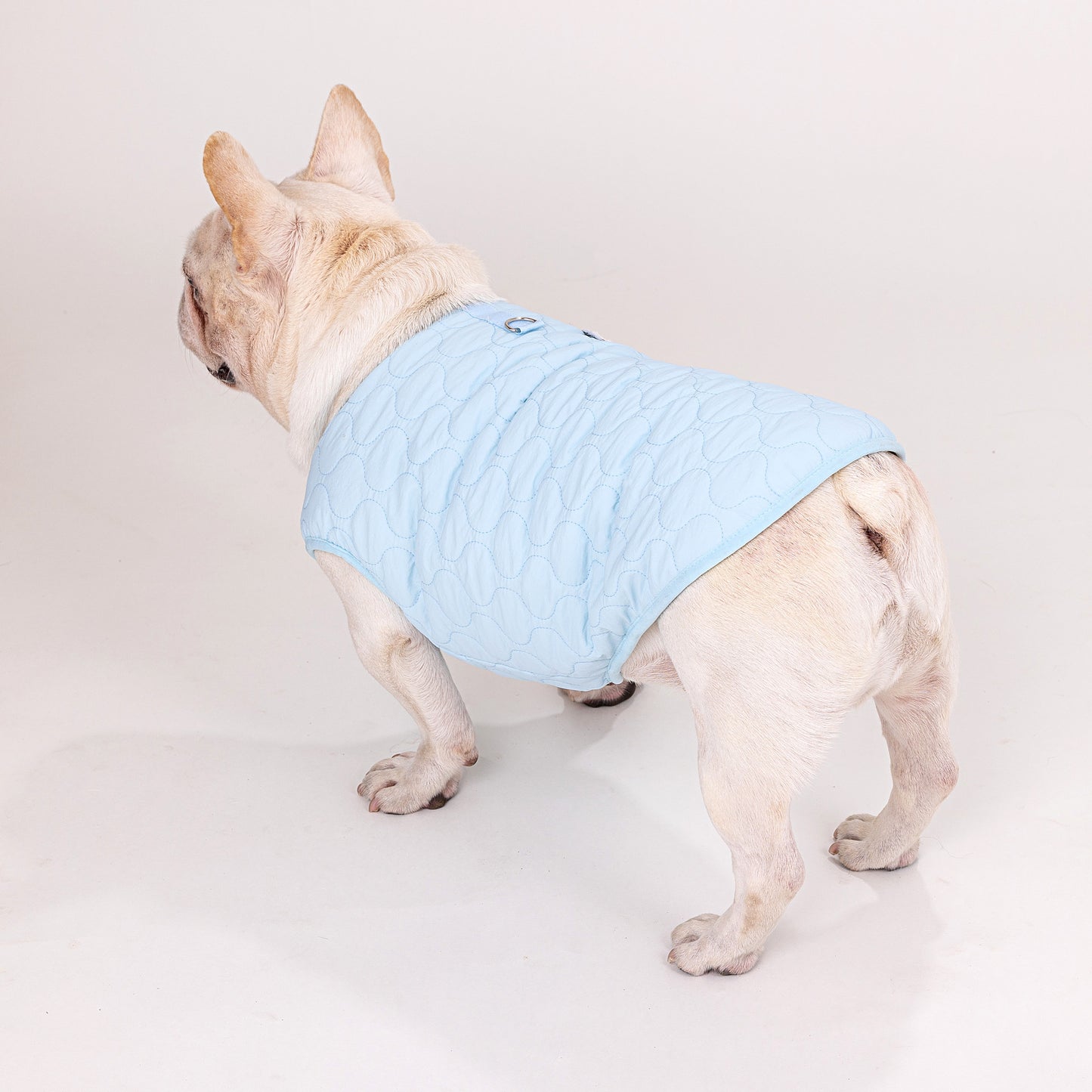 人気ペット服 犬の服 ペットの服 秋冬 ブルドッグモデル ブルドッグ 4色 コットンベスト