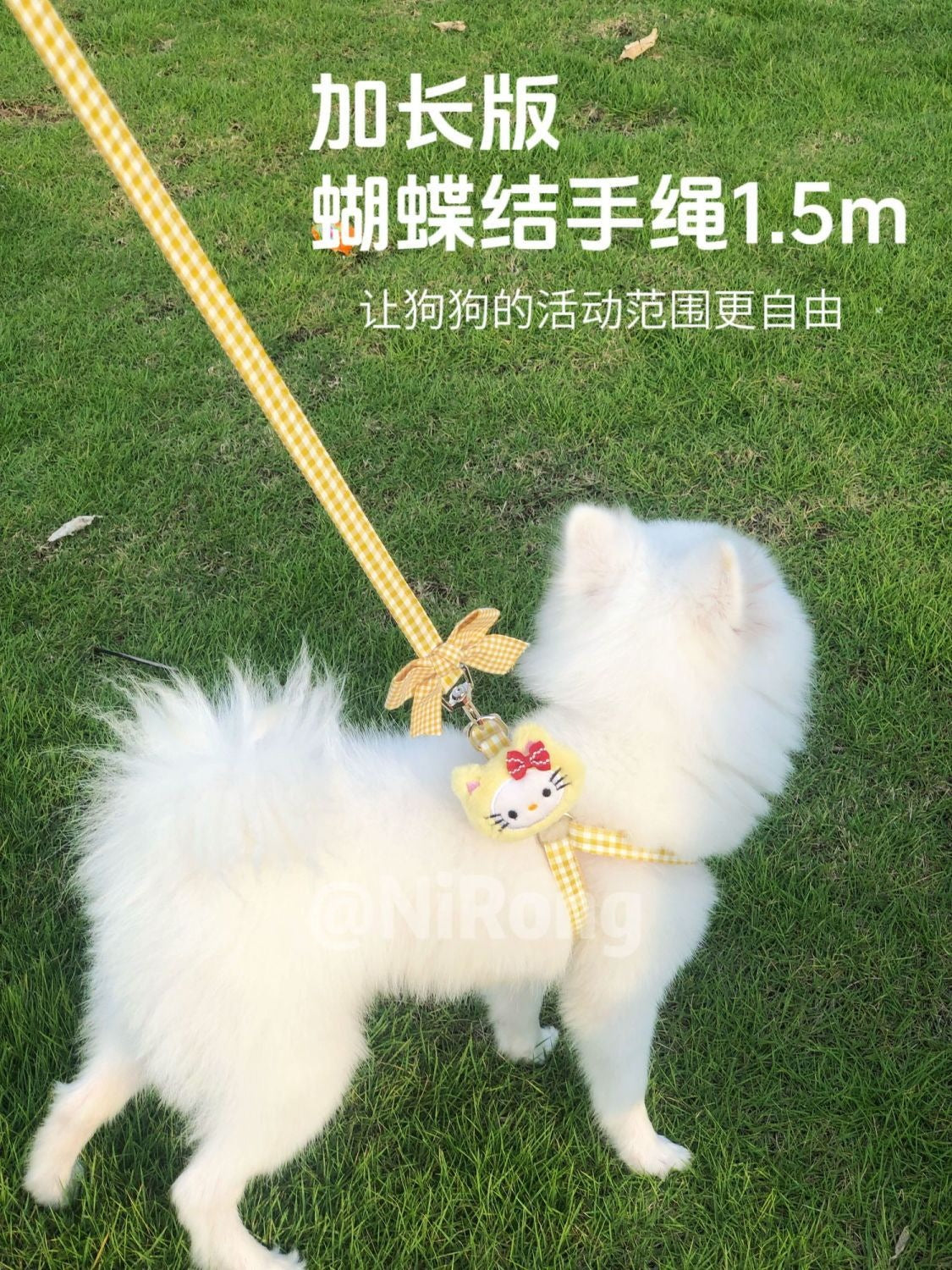 メガ割犬牽引ロープベスト式アニメ屋外散歩犬牽引ロープ小型中型犬犬チェーン犬ロープテディ博美973