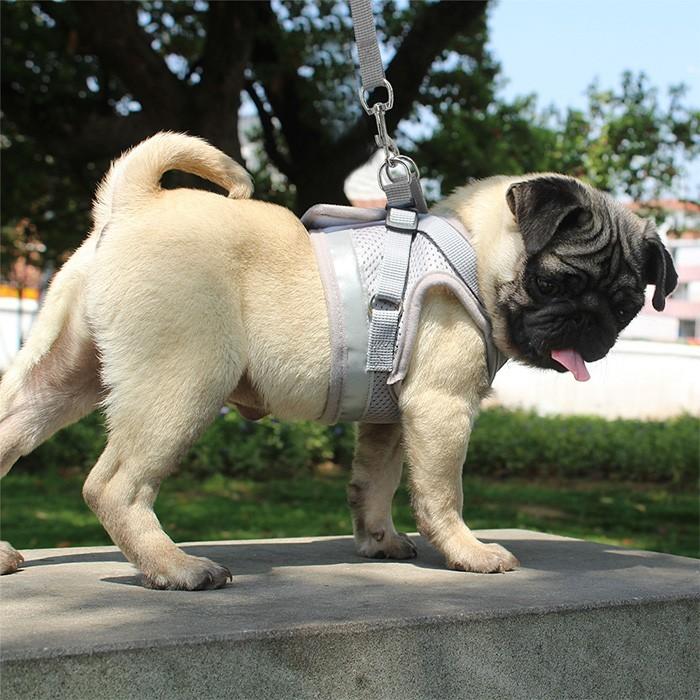 メッシュ ハーネス 胴輪 リード付 ドッグ 犬 ウェアハーネス キャット 服 ペット