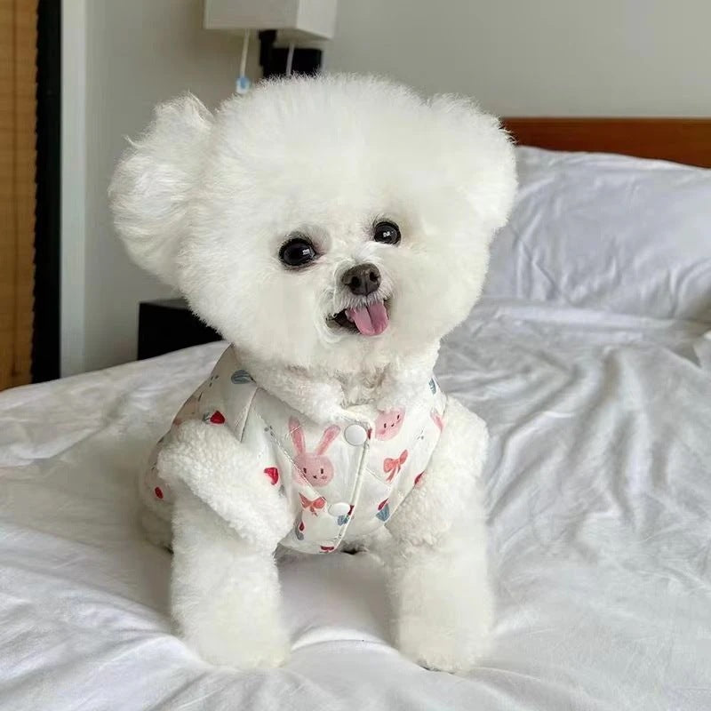 春と秋の犬服テディボーミペットのコキシナレビーベア秋 厚手 暖かい