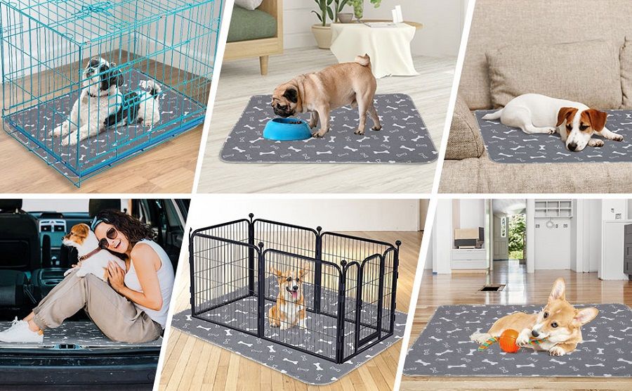 新作セールペットおしっこマット ペットベッド クッション 2枚入り 犬 猫 ペットシーツ ペット用おしっこパッド 介護パッド 防水 速乾 洗える 再使用可能 80*90cm2025年