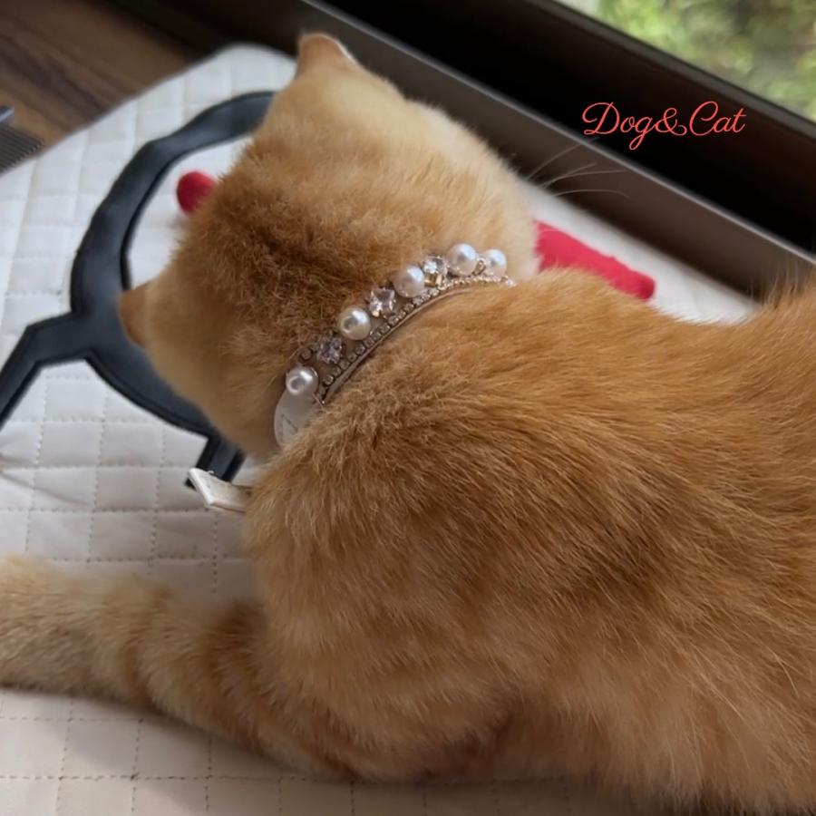 キラキラ pet Accessory ペットアクセサリー チョーカー おしゃれ首輪 neck 猫用首輪 パール 首輪 犬用首輪