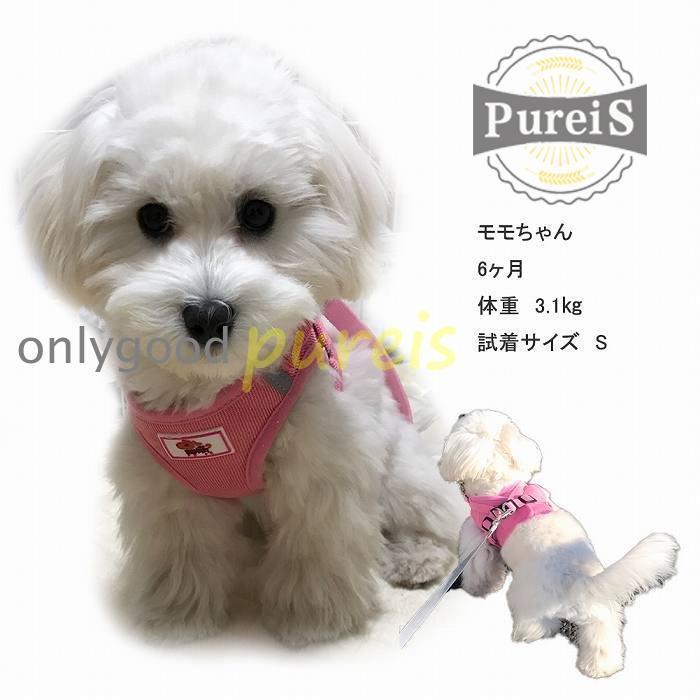 2-5日出荷 新品推奨 犬 ハーネス リード付 ペット服 ウェアハーネス 胴輪 キャット ドッグ メッシュ 一体型 胸あて式 軽量 調節可能 犬用 小型犬 ペット用品 猫用首輪 猫/犬 可愛い ポイン