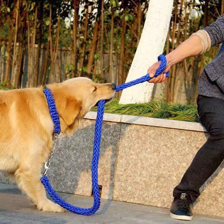 首輪付きリードセット セット ハーフチョーク 全11色×4サイズ XL + しつけ ペット 首輪 犬 中型犬 大型犬 パラコード S M L リード