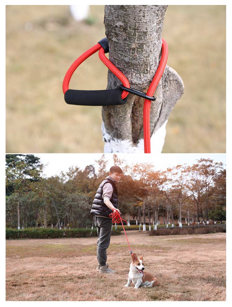 タイムセール太さ10mm クライミングロープ 10m 5m 大型犬 犬用 軽量 ロングリード ロングリード 犬 中型犬 小型犬 ショルダーリード しゃれ かわいい 犬用散歩リード トレーニング 訓練用