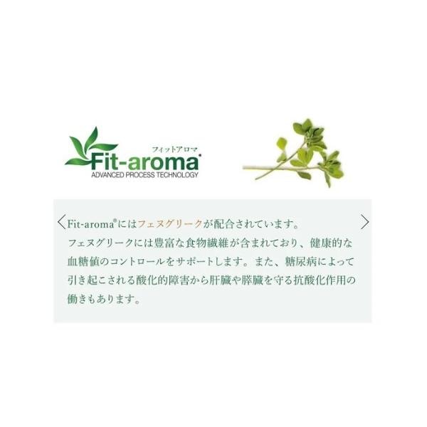 VetSolution ベッツソリューション 犬用 糖尿病サポート 3.0kg ドッグフード 犬 餌 療養食 体重管理 腎不全