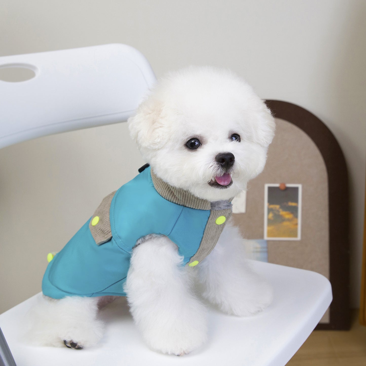 猫 犬 洋服 犬服 ペット服 大中小型犬 ペット用品 犬/猫用 犬の服 ペットウエア 小型犬 中型犬 通気 可愛い ドッグウェア トレーナー 犬 服 ワンピース サロペット ビションフリーゼ 犬猫服