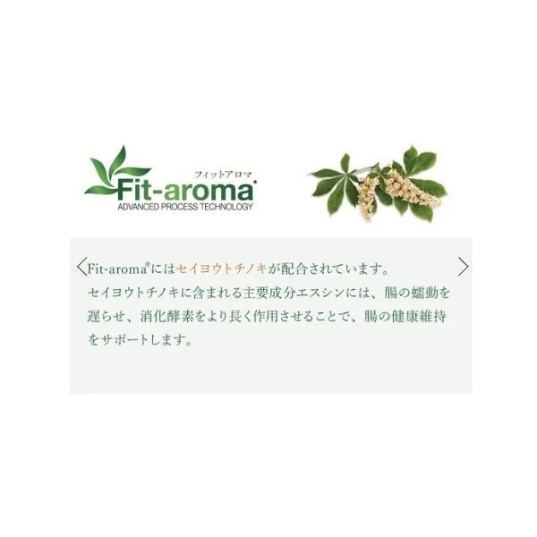 VetSolution ベッツソリューション 犬用 胃腸サポート 3.0kg ドッグフード 犬 餌 療養食 消化不良 胃腸炎 Monge