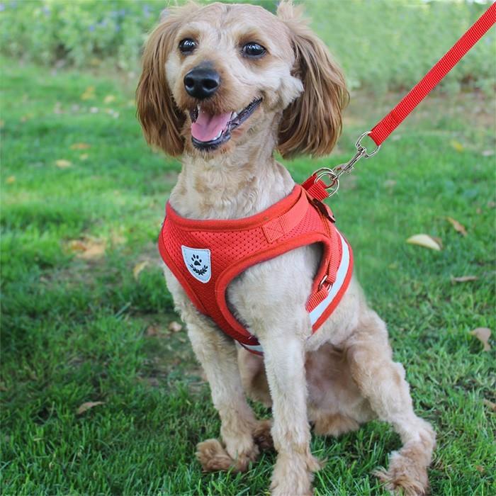 メッシュ ハーネス 胴輪 リード付 ドッグ 犬 ウェアハーネス キャット 服 ペット