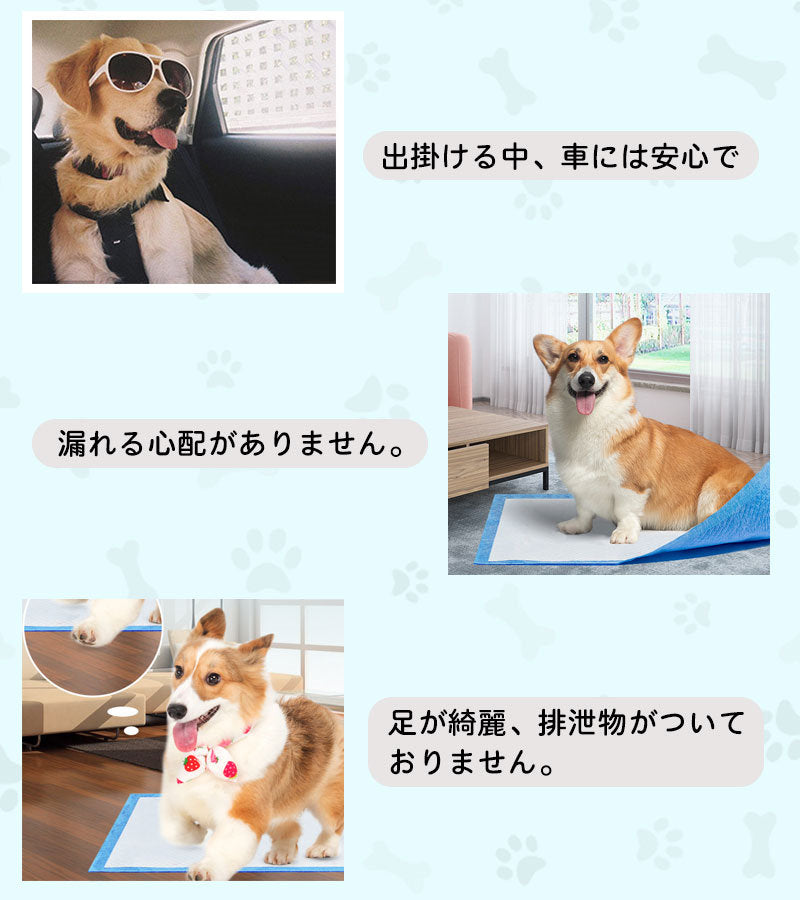 3日以内に出荷 明日まで値下げ ペットシーツ 薄型 ワイド スーパーワイド ペット用品 トイレシート 100枚 50枚 スピード吸収 ねこ うさぎ モルモット 使い捨て 期間限定オファー