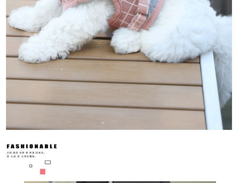 背心式犬牽引紐テディ比熊小型犬胸背ドッグラン子犬チェーンペット用品