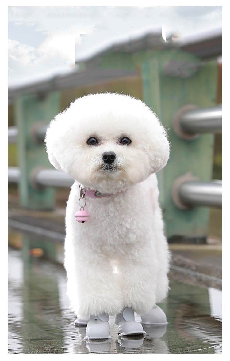 メガ割 滑り止め 脱げない レインシューズ ドッグシューズ 犬シューズ 靴 犬 ドッグブーツ 犬靴 雨靴 お散歩 犬用シューズ 肉球保護 シリコン素材 レインブーツ 柔らかい ドッグレインシューズ 軽